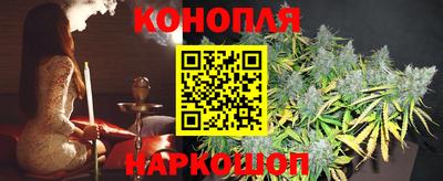 крисы Боровичи