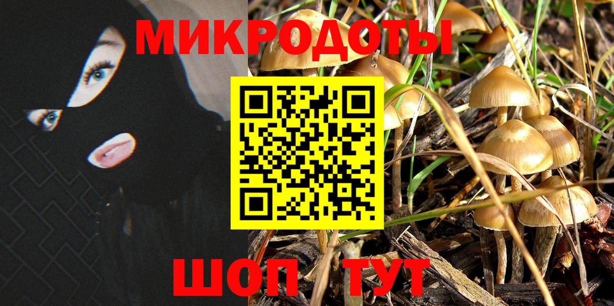 Псилоцибиновые грибы ЛСД Нефтекамск