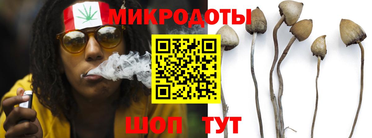 Нефтекамск  Псилоцибиновые грибы Psilocybe  Вход с VPN 